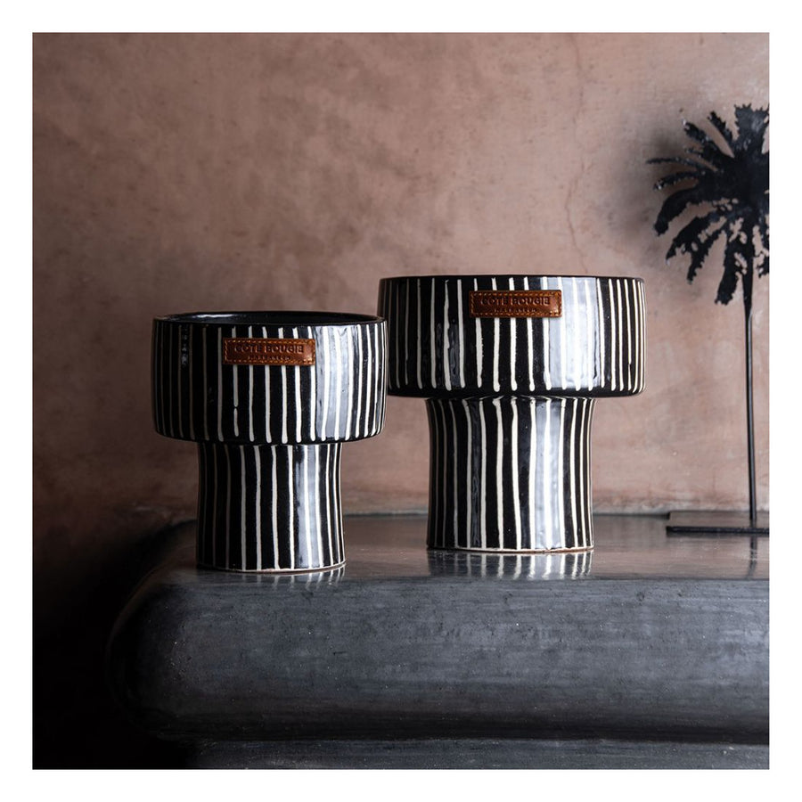 Coupe Zébré Candle