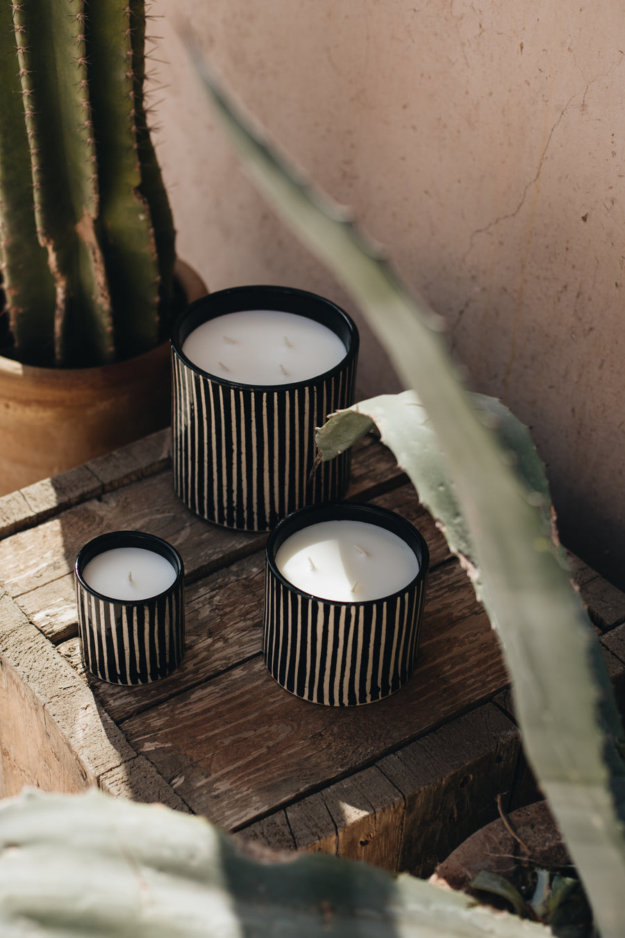 Zébré Candle (600g)